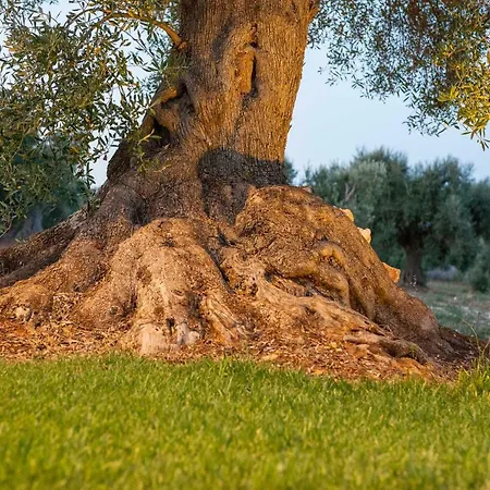 Dimora Mali *